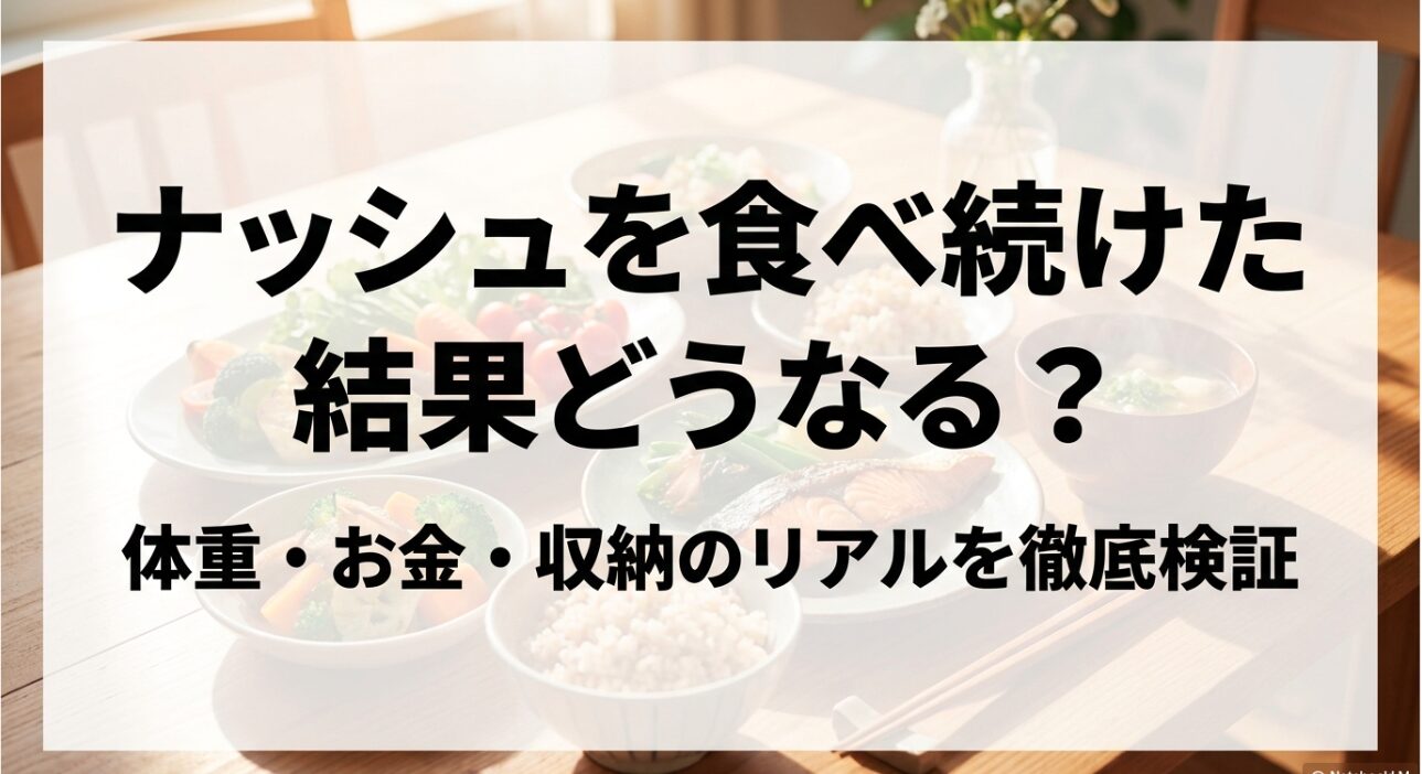 ナッシュを食べ続けた結果の検証まとめ。体重・お金・収納のリアルを徹底検証するスライド資料。